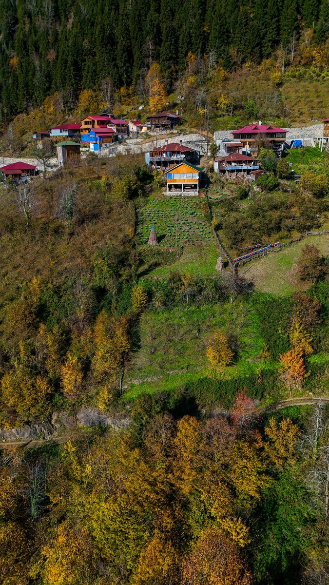Macahel’in sessiz huzuru: doğanın kalbinde saklı bir cennet.
