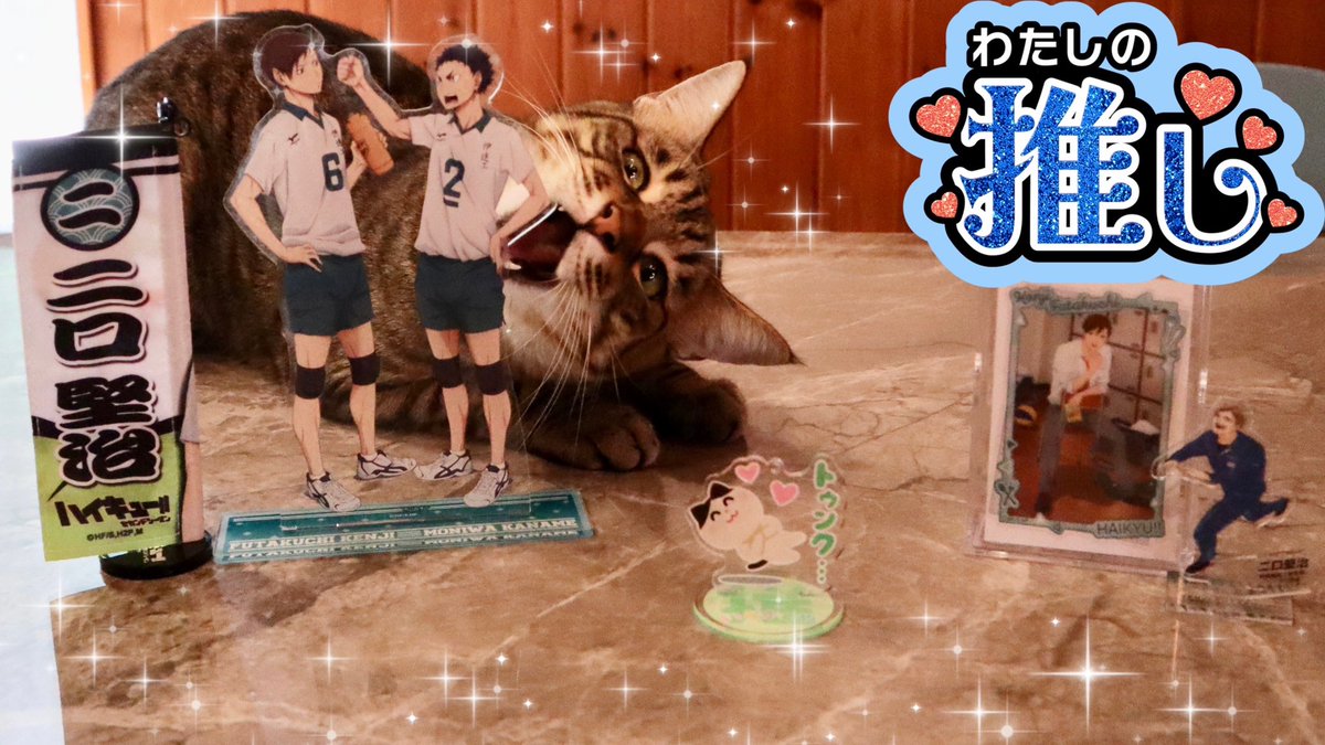 ちち💙💎🫧 (@love32chichi) / Posts / X