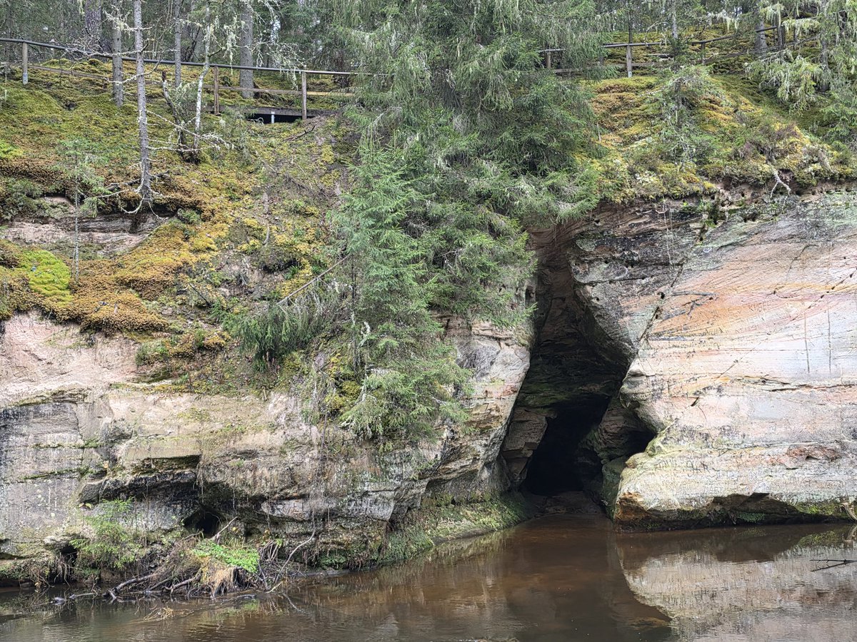 Осень самое идеальное время чтобы пойти гулять в лес. Потому что прохладно и нет насекомых. Всем советую Таэваскода.