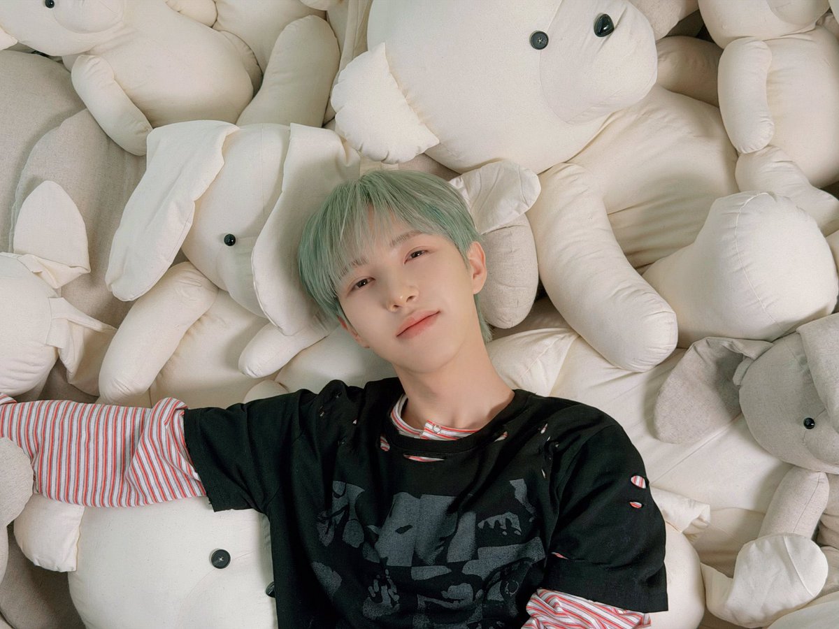 ren__bb's tweet image. 아 뭐지 이 아기 고양이
너무 귀엽네