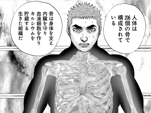 十数年程で人間の骨の総本数から159本猿空間入りしたと考えられる 