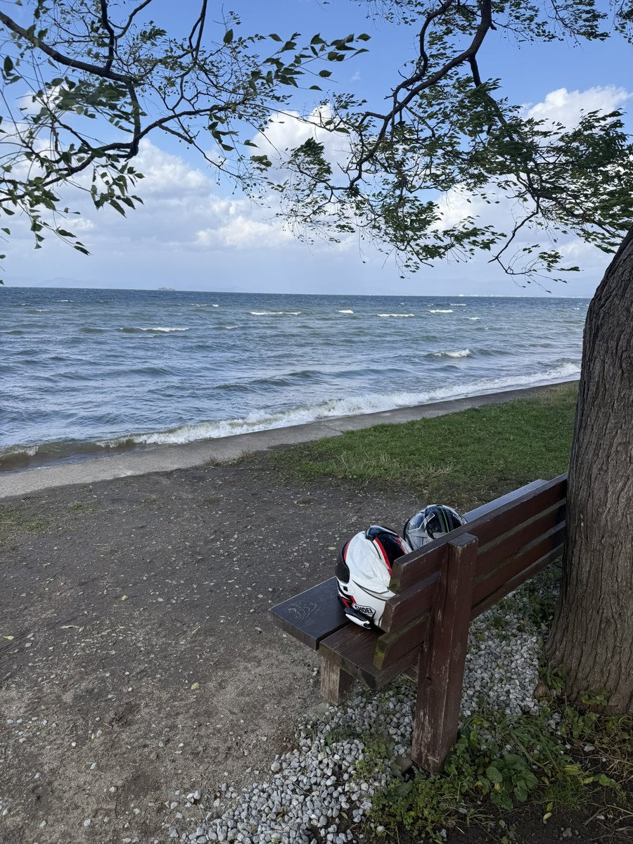 mimi( ◔︎㉦◔︎ ) (@mimi_mimi250) / Posts / X