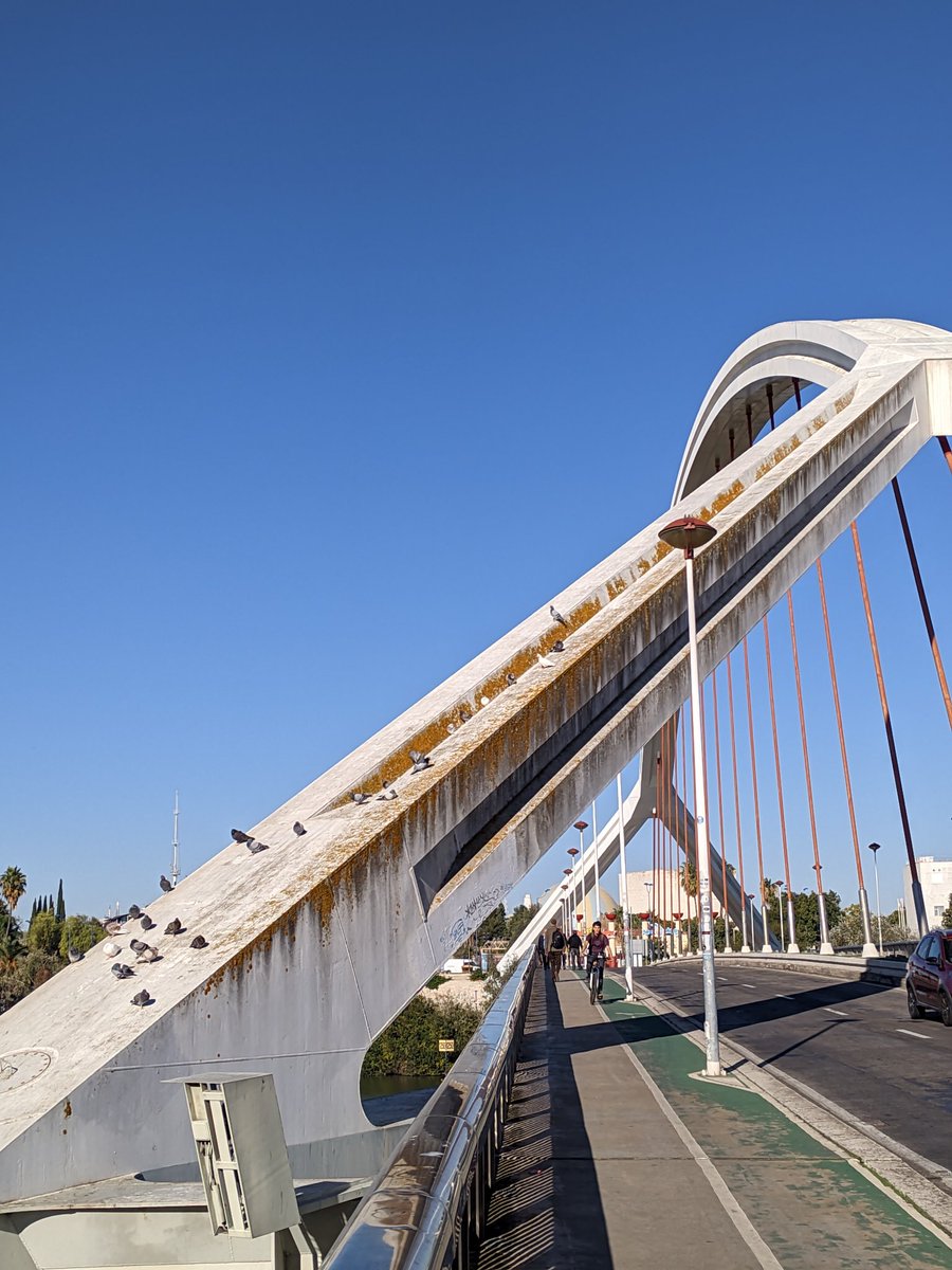 Un puente como el de La Barqueta, antaño puerta principal de Sevilla al recinto de la Expo, no debería de presentar este aspecto tan lacrimoso <a href="/Ayto_Sevilla/">Ayuntamiento de Sevilla</a> <a href="/jlsanzalcalde/">José Luis Sanz</a> <a href="/Rocio_DiazJ/">Rocío Díaz Jiménez</a>

<a href="/AdepaSevillaHca/">PatrimonioSevilla</a>