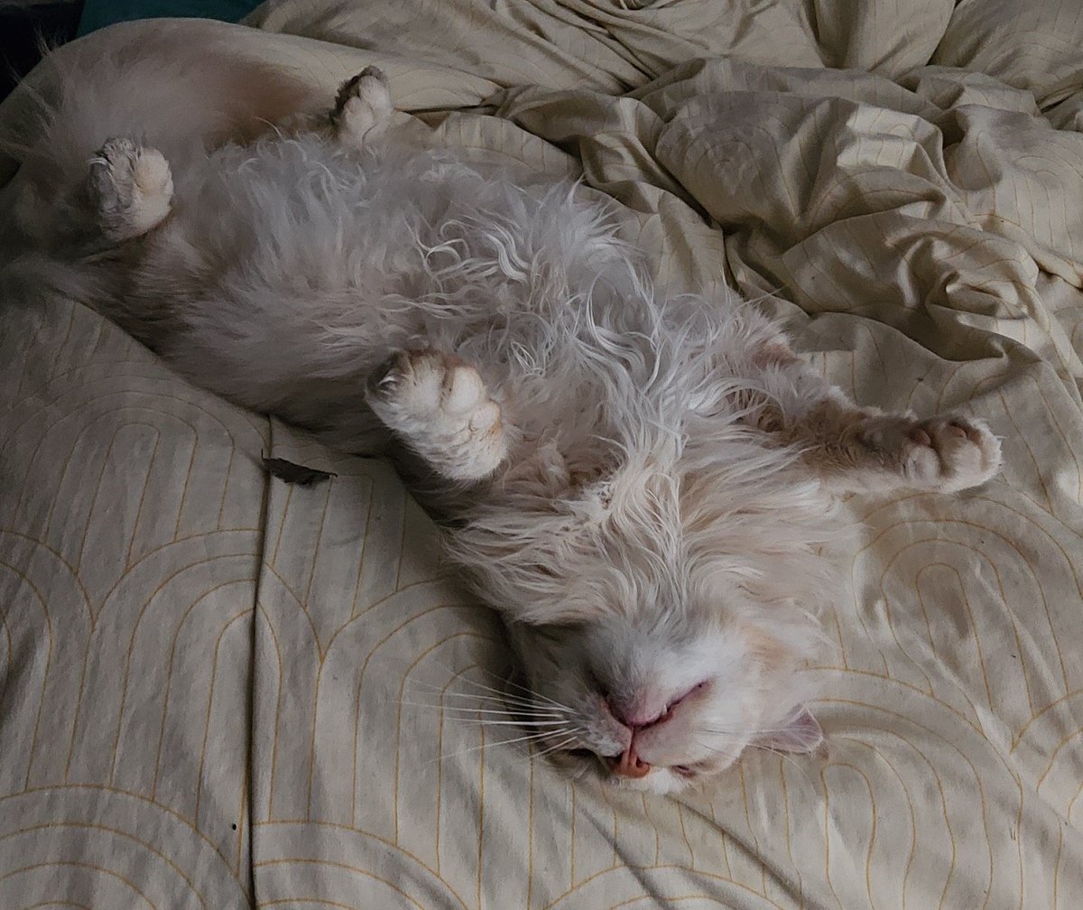 Mathookee's tweet image. Ah oui la on est bien