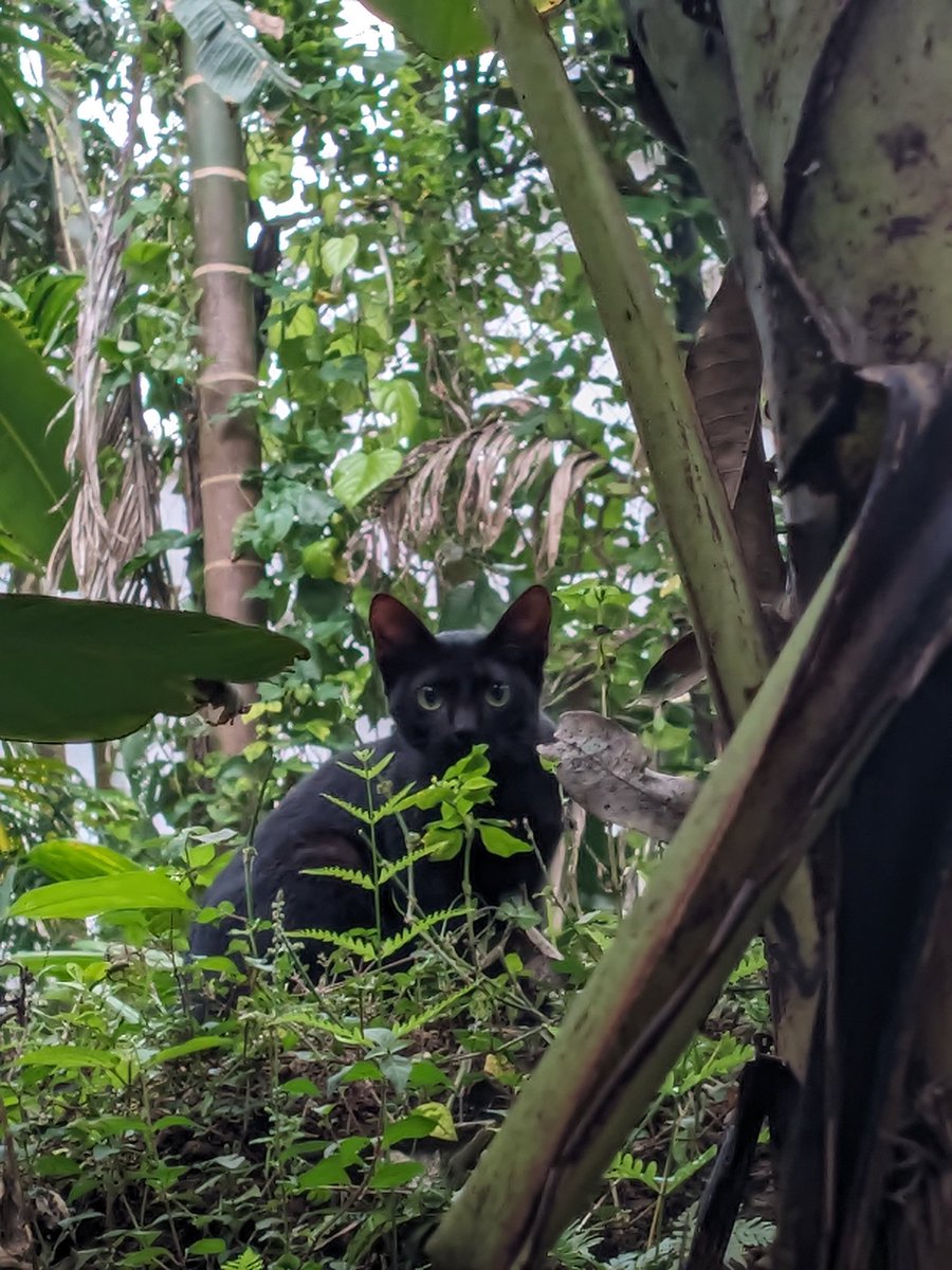 HExx (@seenxs2) on Twitter photo 