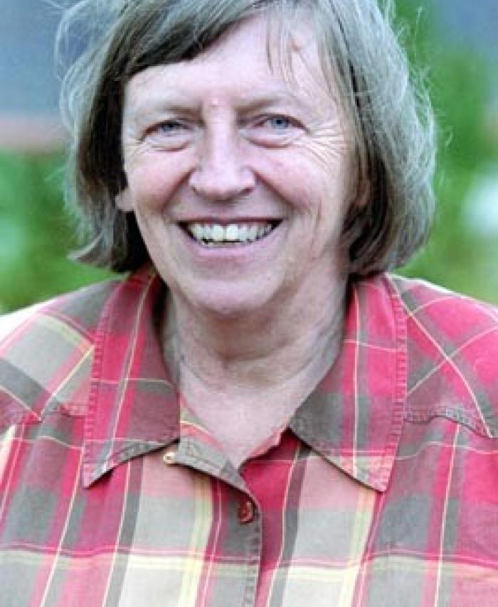 Renato Perim Colistete tweet media