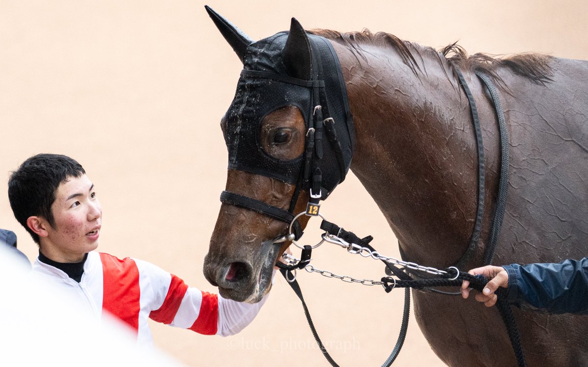 【魁 多聞】(面頬) 面頬 - 鎧買取販売 甲冑兜武具「本陣」