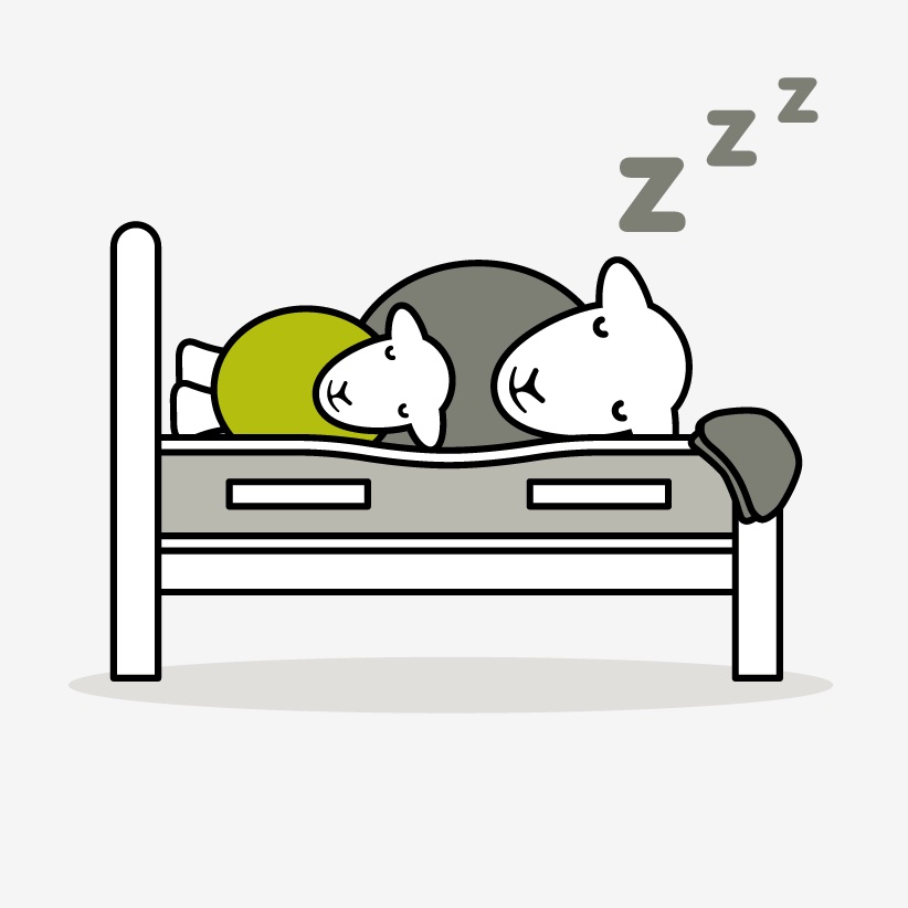 Herdysleep tweet media