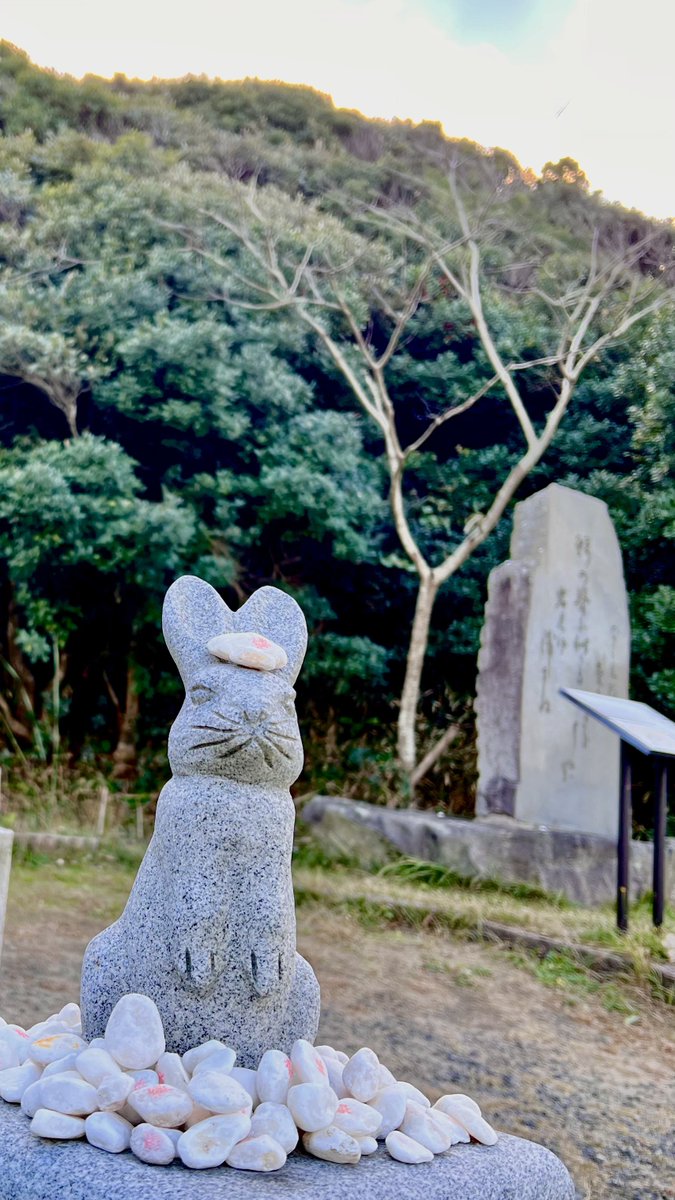 やきそばぱん tweet media