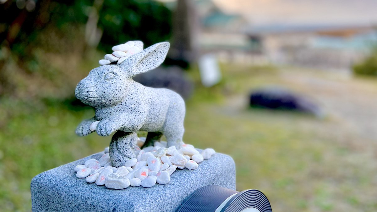 やきそばぱん tweet media