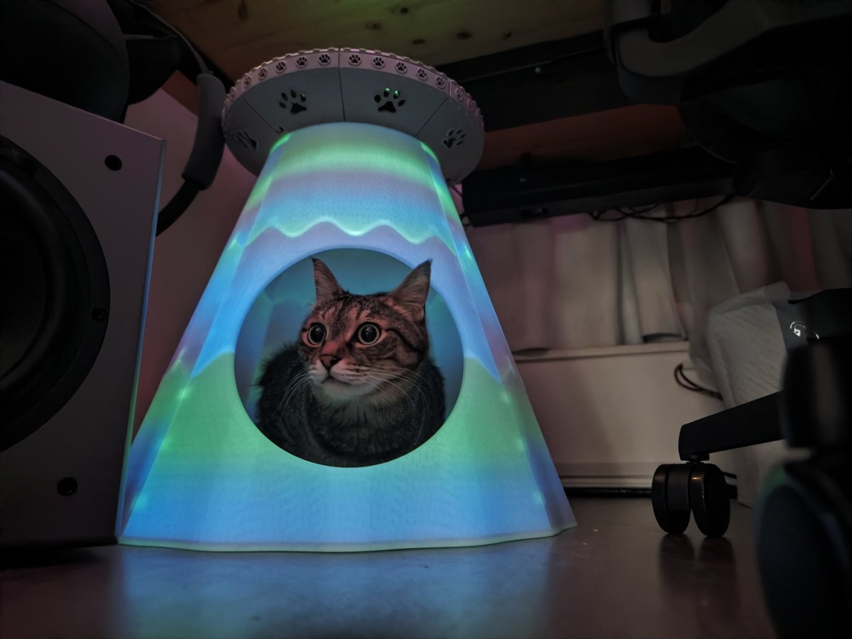 zenchannel2's tweet photo. モナちゃんがUFOに入ってくれました🐈️🛸 https://t.co/pn5TOJFuBC