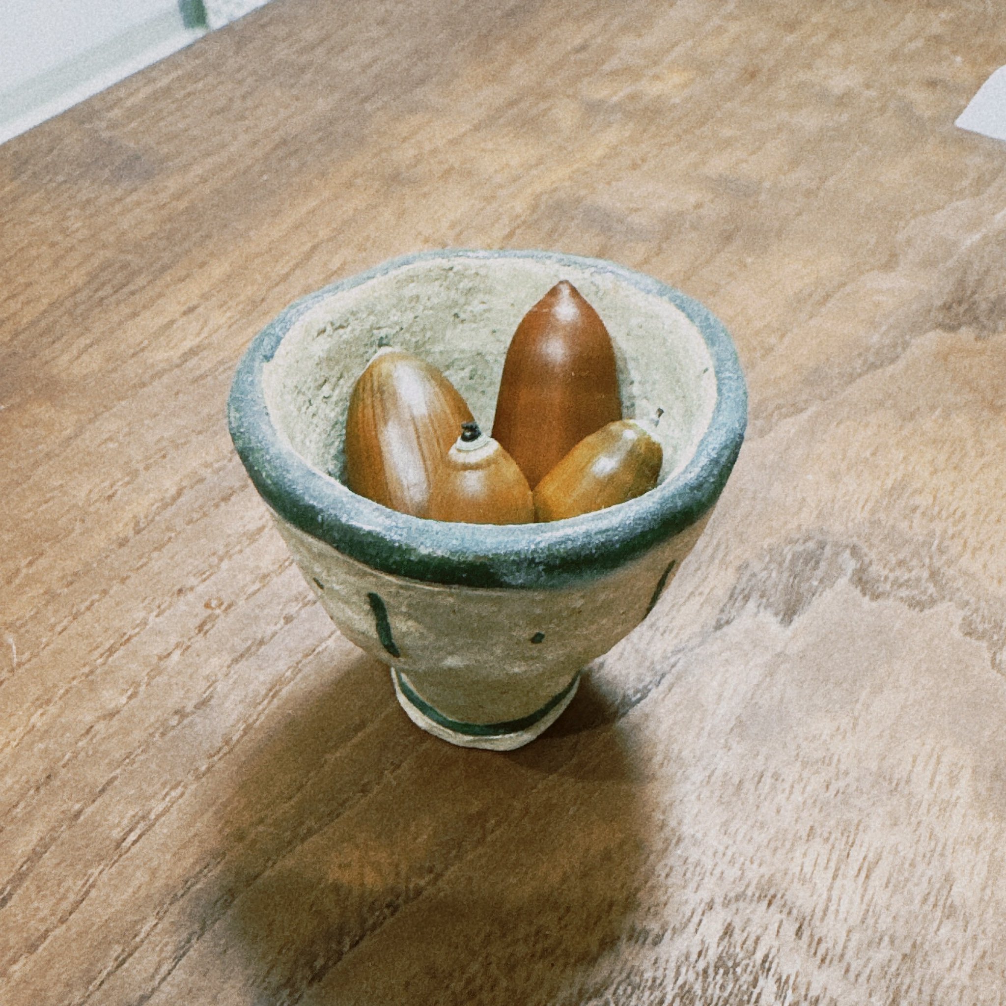 どんぐりコレクション - Search / X