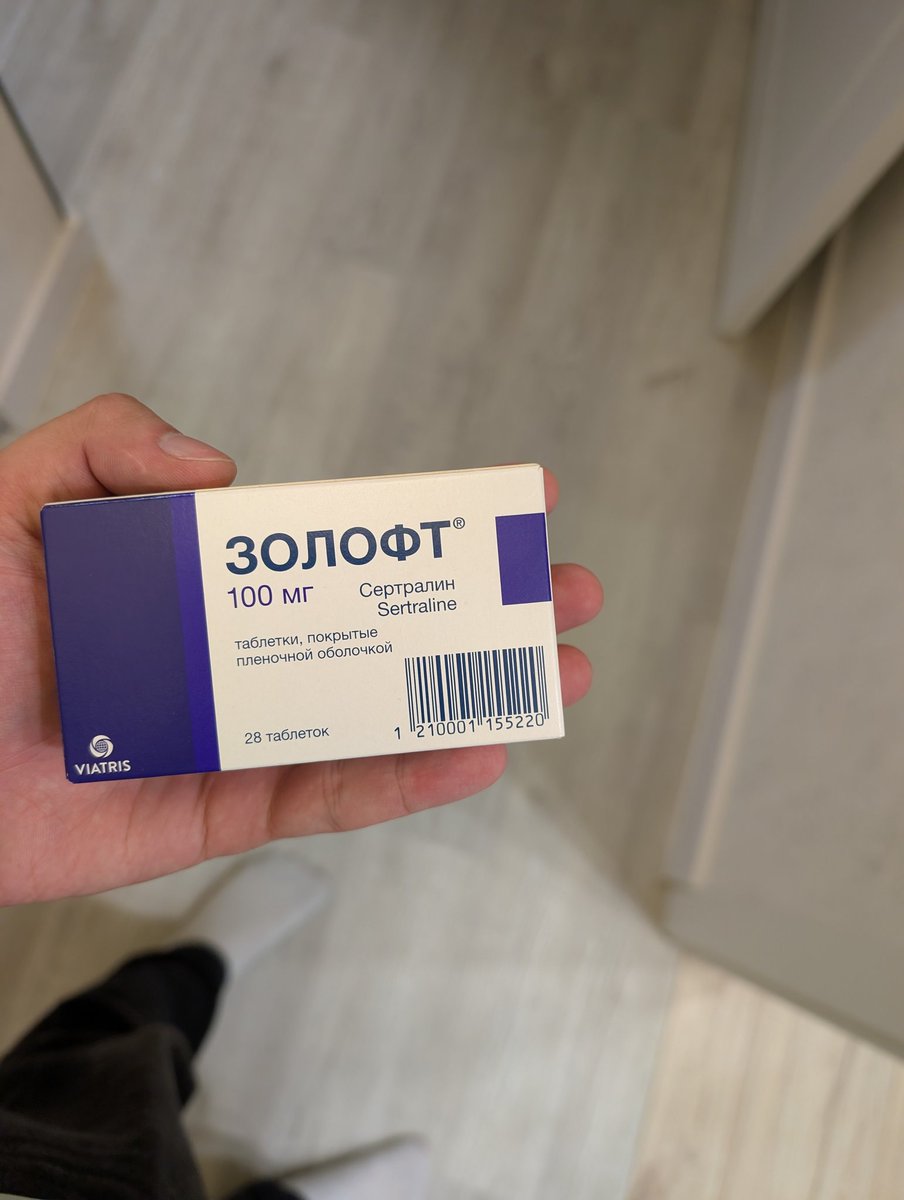 скотопёс tweet media