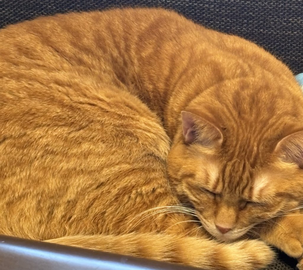 明日朝イチで病院いてくる…🥲ライブと学校以外お外出ないし、マスクもして手洗いして消毒も持ち歩いてるんだけどね…ゆなちゃんの免疫仕事してくれ〜( ⸝⸝&gt;⤚&lt;)💢はやくゆなちゃん元気になるからみんなも体調気をつけてね♡おやすみなさーい(՞- -՞)ᐝ💛💛