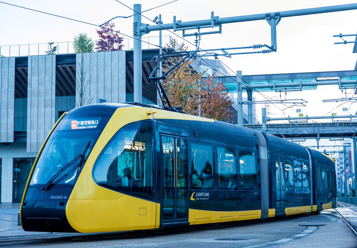 薄茶 (@hiro115_1020) / Posts / X