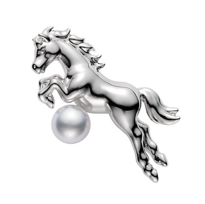 Naoki KASHIWADANI on X