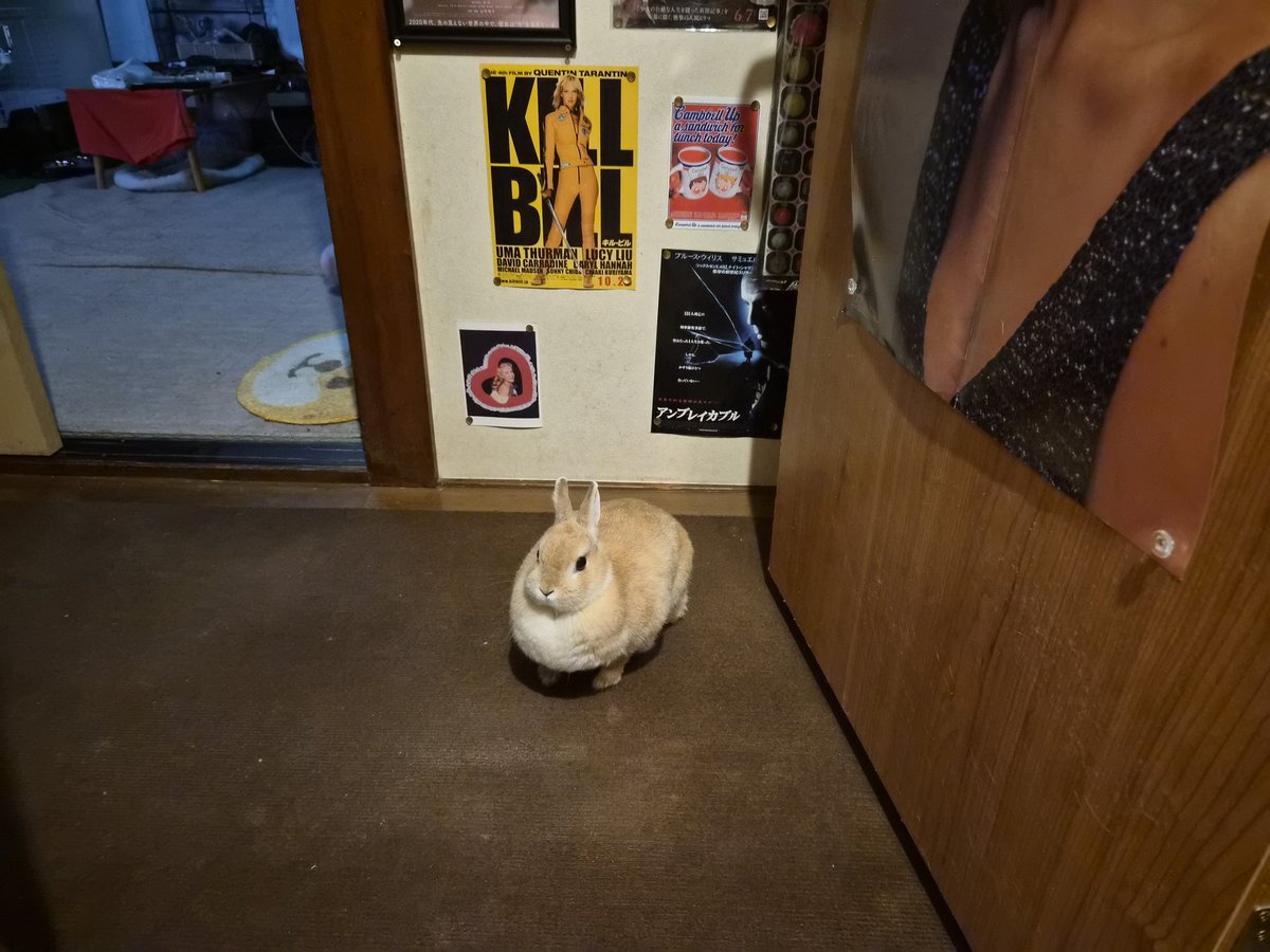 qkgpso4tQw85289's tweet image. またトイレについてきた(笑)