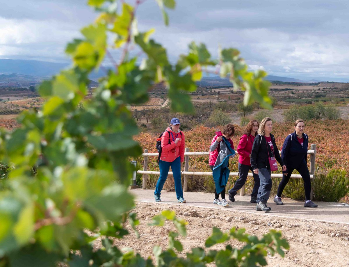 Wine Run Rioja Alavesa tweet media