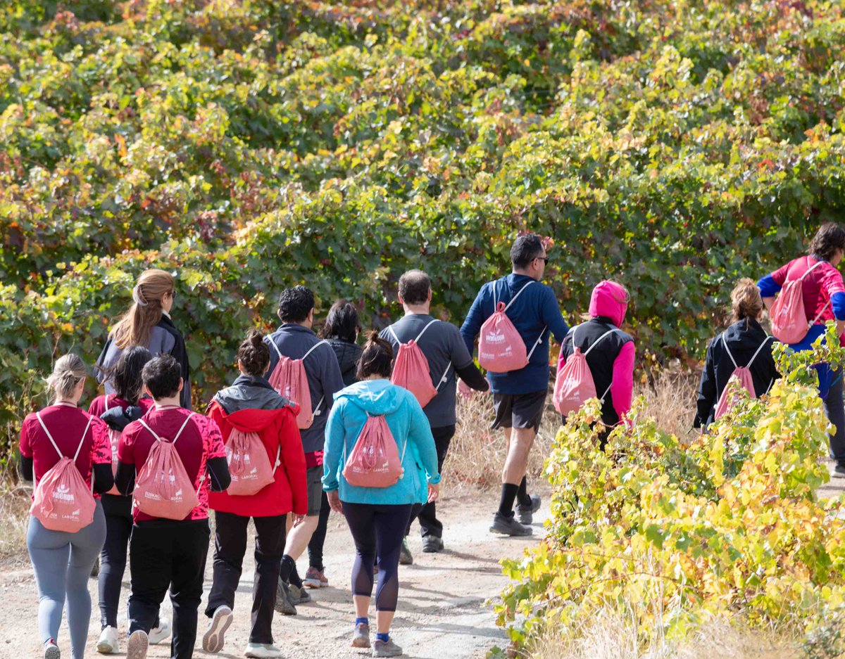 Wine Run Rioja Alavesa tweet media