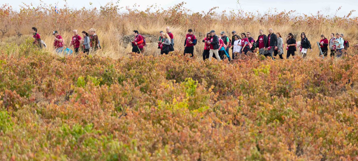 Wine Run Rioja Alavesa tweet media