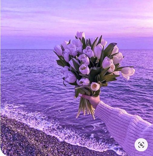 tutututututulip's tweet image. 