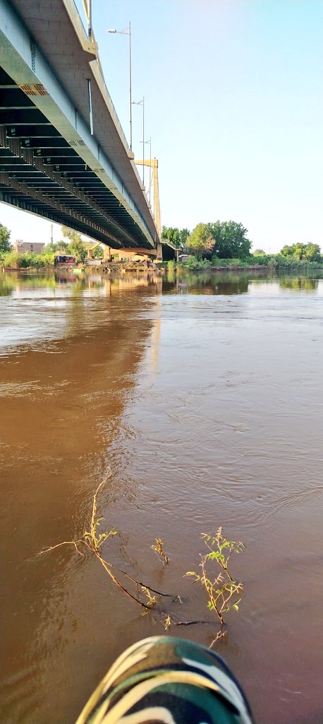 #PTV
 توتي في العصرية..