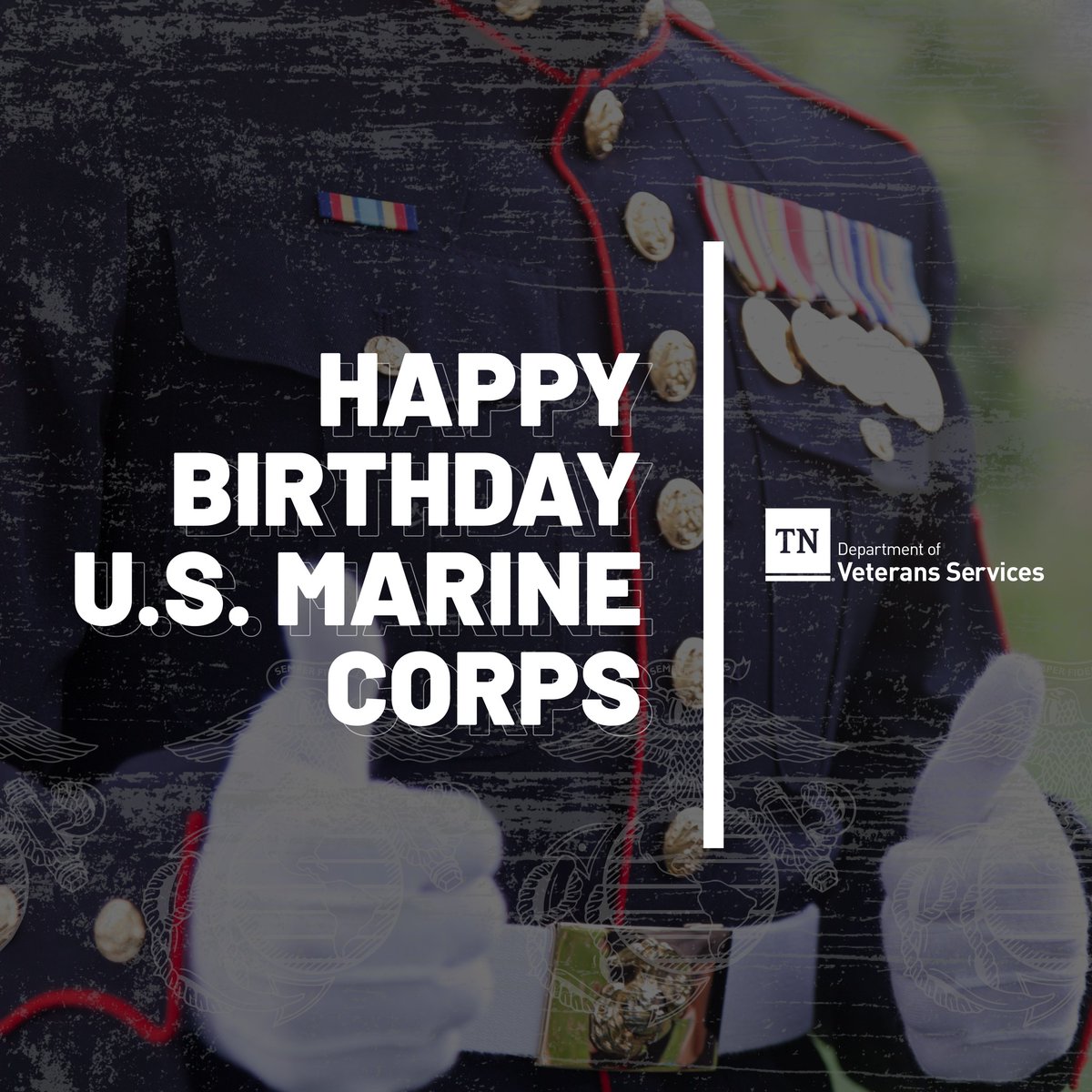 TNDVS's tweet photo. Today, let us pay Tribute to the United States Marine Corps!

For 250 years, the Corps has defended freedom, upheld our nation’s values, and inspired generations.

To every Marine, Thank You for your service! Happy Birthday!

Semper Fidelis. https://t.co/dWxqCXMuWY