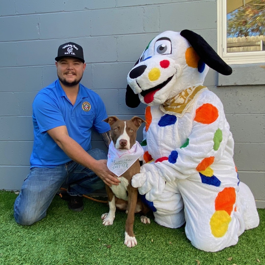 MetroLibraryOK's tweet image. Starting the week with Spoticus and adorable puppies? Yes please! 🐶

To celebrate National Animal Shelter Appreciation Week, last week The Village Library crafted bandanas for the doggos at The Village Animal Shelter! To the shelter heroes - thank you for being pawsome!