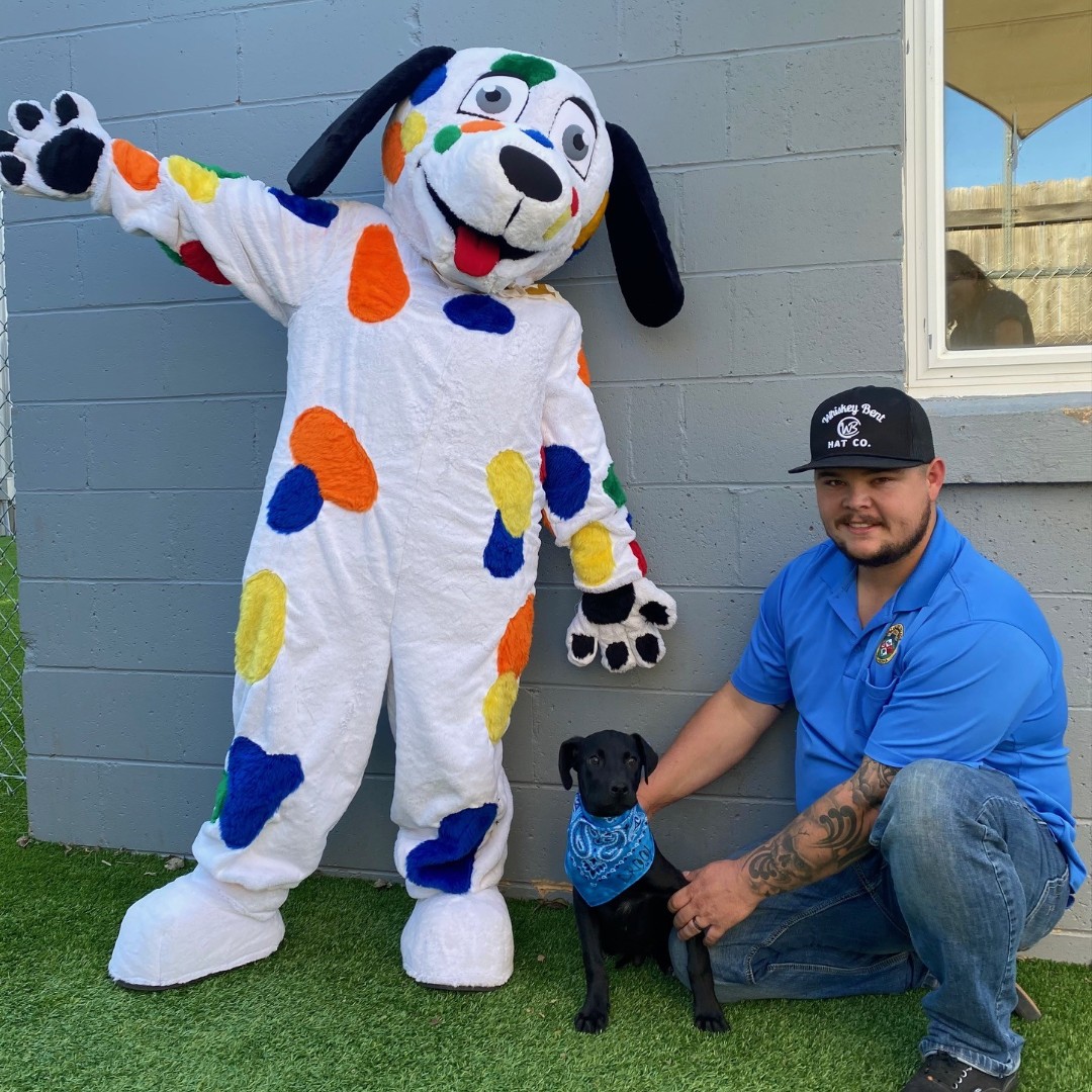 MetroLibraryOK's tweet image. Starting the week with Spoticus and adorable puppies? Yes please! 🐶

To celebrate National Animal Shelter Appreciation Week, last week The Village Library crafted bandanas for the doggos at The Village Animal Shelter! To the shelter heroes - thank you for being pawsome!