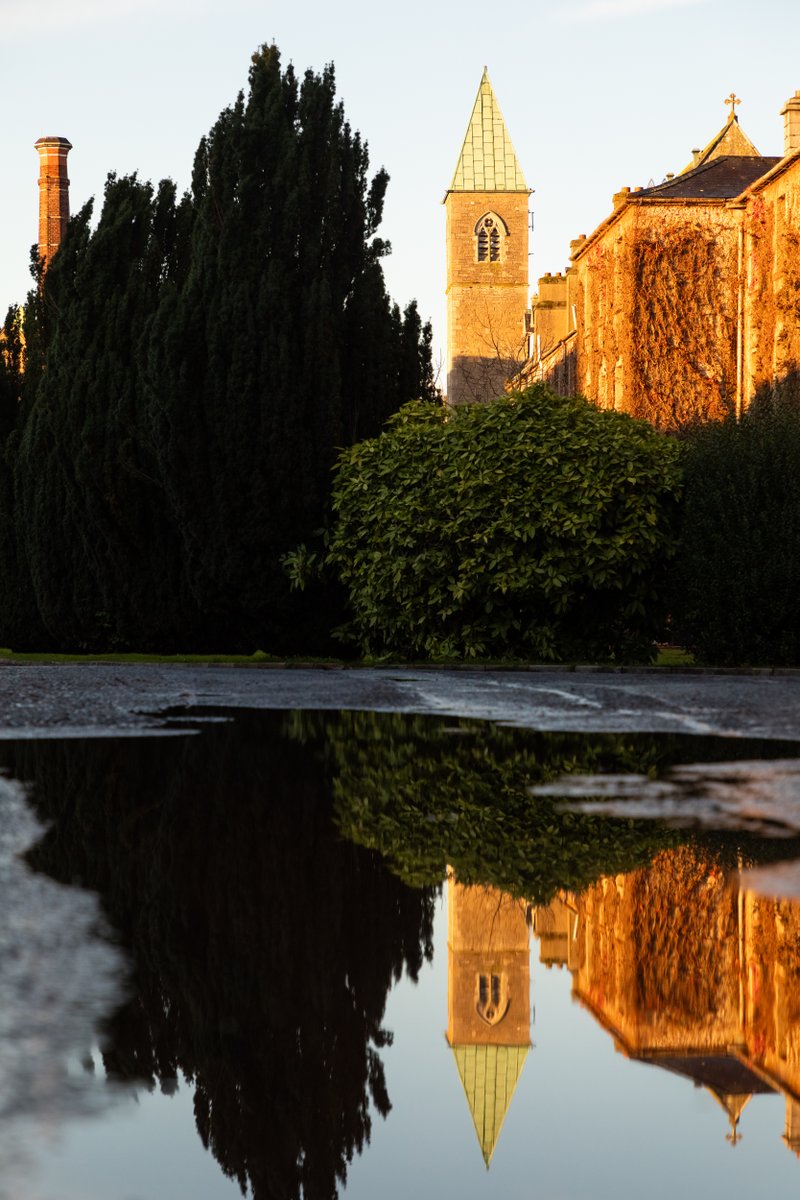 MaynoothUni's tweet image. Golden morning on #SouthCampus

📸 by Daniel Balteanu