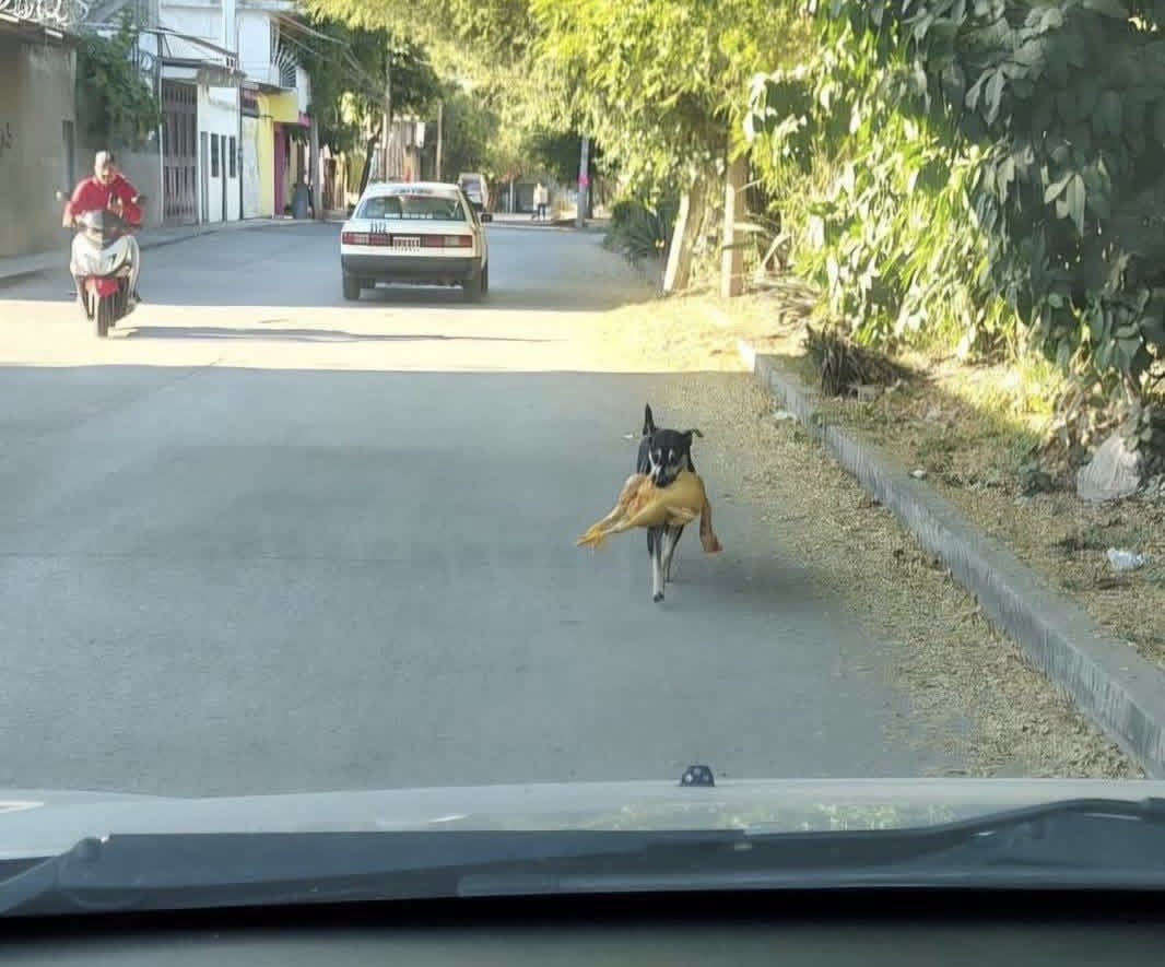 🇻🇪 Nauef 📺 tweet media