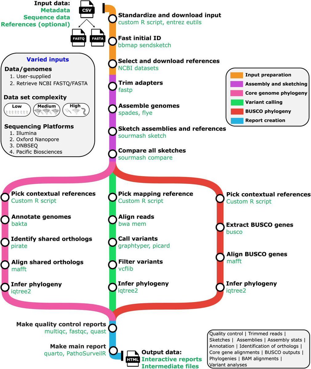 jsantoyo's tweet image. PathogenSurveillance: an automated pipeline for population genomic analyses and pathogen identification. #PathogenSurveillance #Nextflow #Bioinformatics #WGS #PathogenIdentification @biorxivpreprint
biorxiv.org/content/10.110…