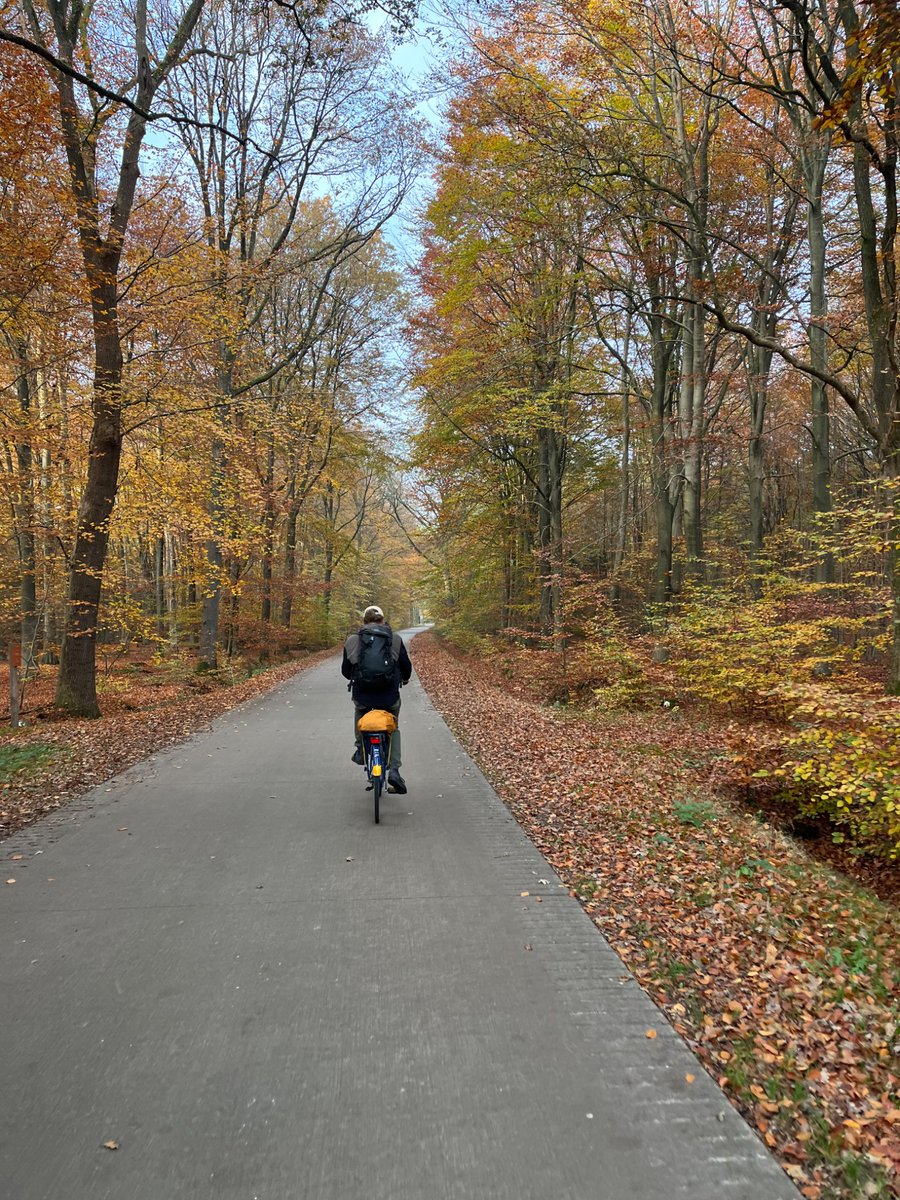 Alicia (@alilzeta) on Twitter photo 