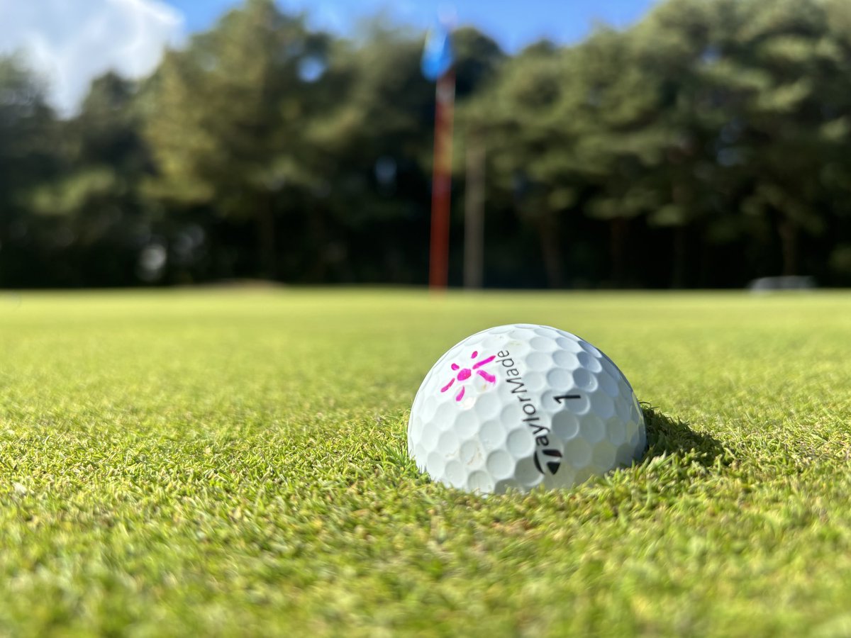 Kay TANAKA™️ (@kaylormade92008) / Posts / X