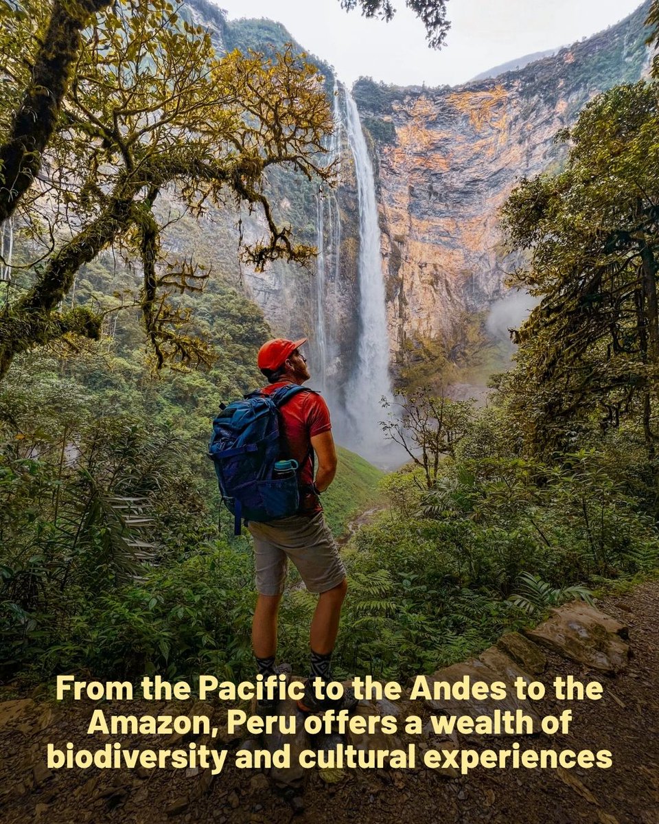 Backpacker Magazine tweet media