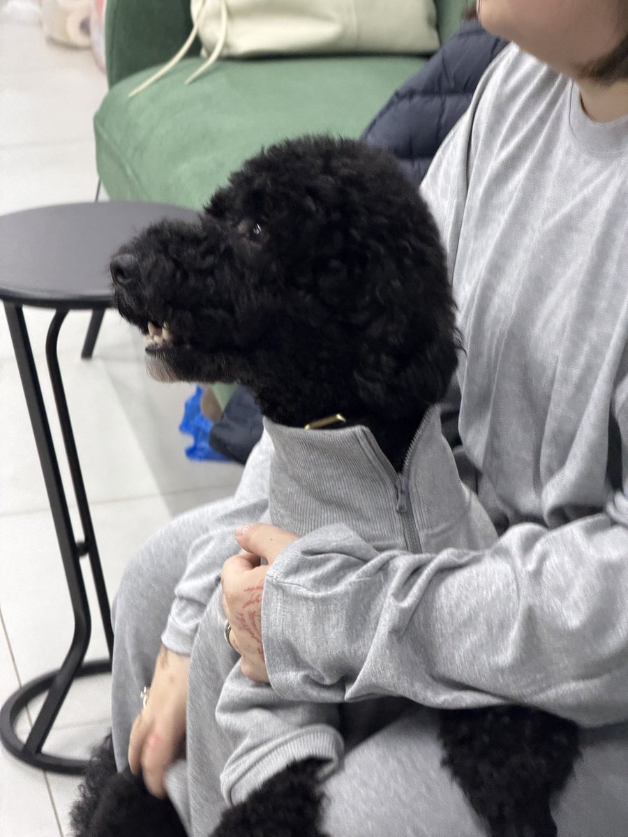 givenbyg0d's tweet image. Новый сотрудник: в здании.
Работа: встала.