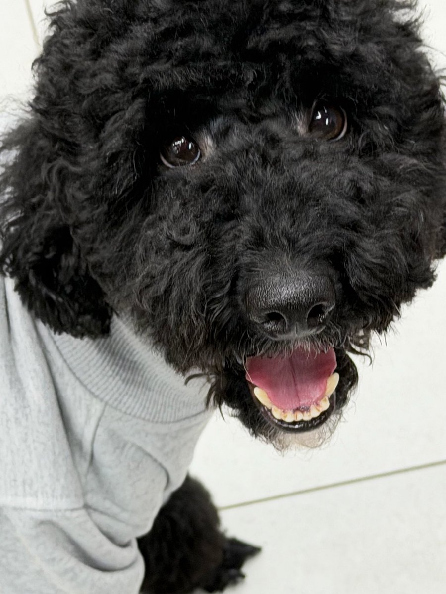 givenbyg0d's tweet image. Новый сотрудник: в здании.
Работа: встала.