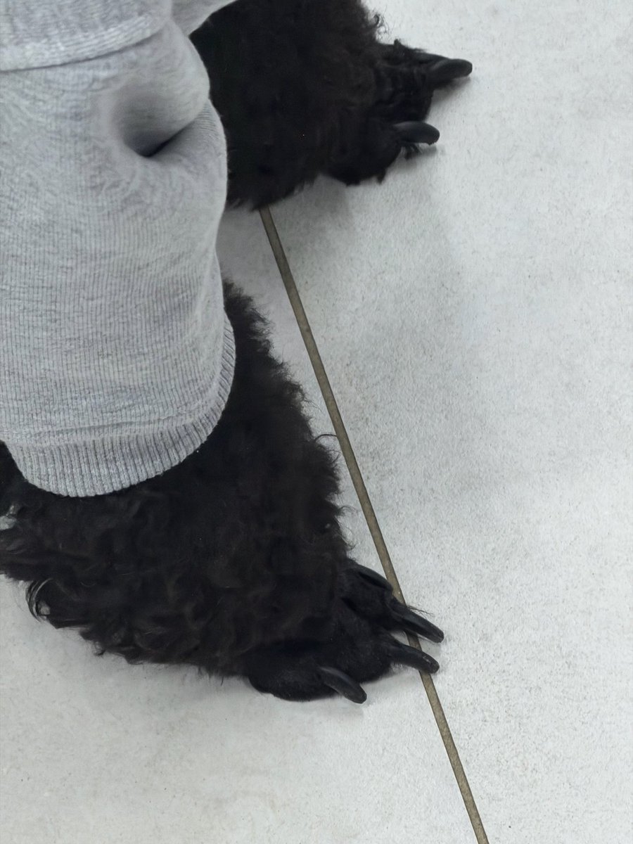 givenbyg0d's tweet image. Новый сотрудник: в здании.
Работа: встала.