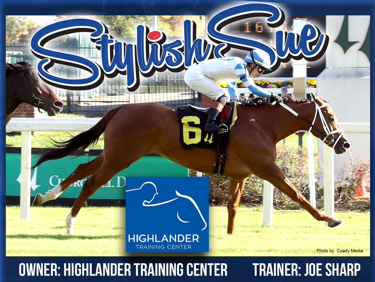 HighlanderTrai3's tweet image. Very proud of everyone involved including ⁦@mjsharp75_joe⁩, Jon Newbold &amp;amp; Chuy Bibian and the team ⁦@HighlanderTrai3⁩ Fitness &amp;amp; Therapy Center for bringing Stylish Sue back from a 12 month layoff for this big ALW win ⁦@ChurchillDowns⁩ on 11/8.