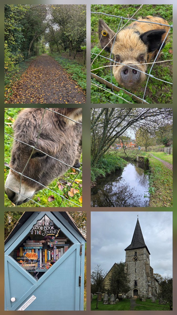 Julie Aris 🇺🇦🇬🇧 tweet media