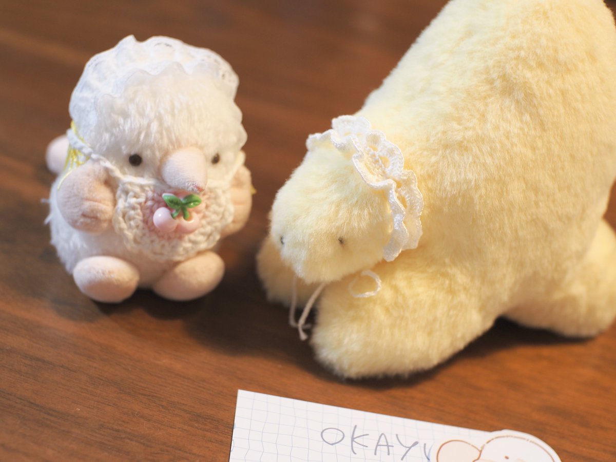 もふもふのほしいぬちゃんが！やってきました！ふわふわなボディ、優しげなお顔、ぽってりした手足とぴょこっとしたしっぽ、柔らかい黄色、全部がたまらなくかわいい🥲🌟へドレつけてあげたらモグラッコちゃんとお揃いになったね🎀