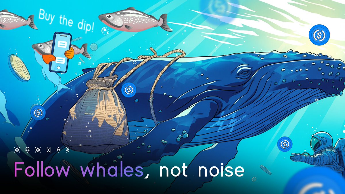 THE SECURITY BLUEPRINT OF WOWMAX EXCHANGE

In DeFi, security isn’t just a feature. It’s the foundation.
That’s why <a href="/WowmaxExchange/">WOWMAX.Exchange</a> was built with safety embedded in every layer of its architecture.

THE CORE IDEA
Every transaction on Wowmax is non-custodial.
Your assets stay in