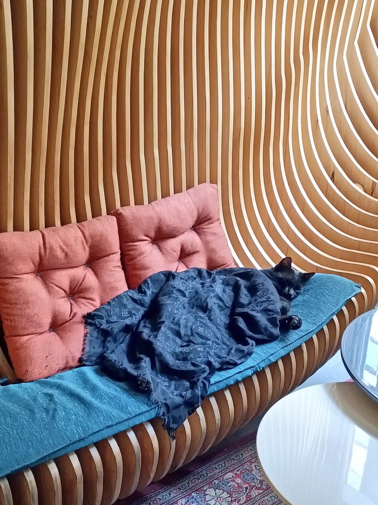 خوابی چنین میانه میدانم آرزوست ✨