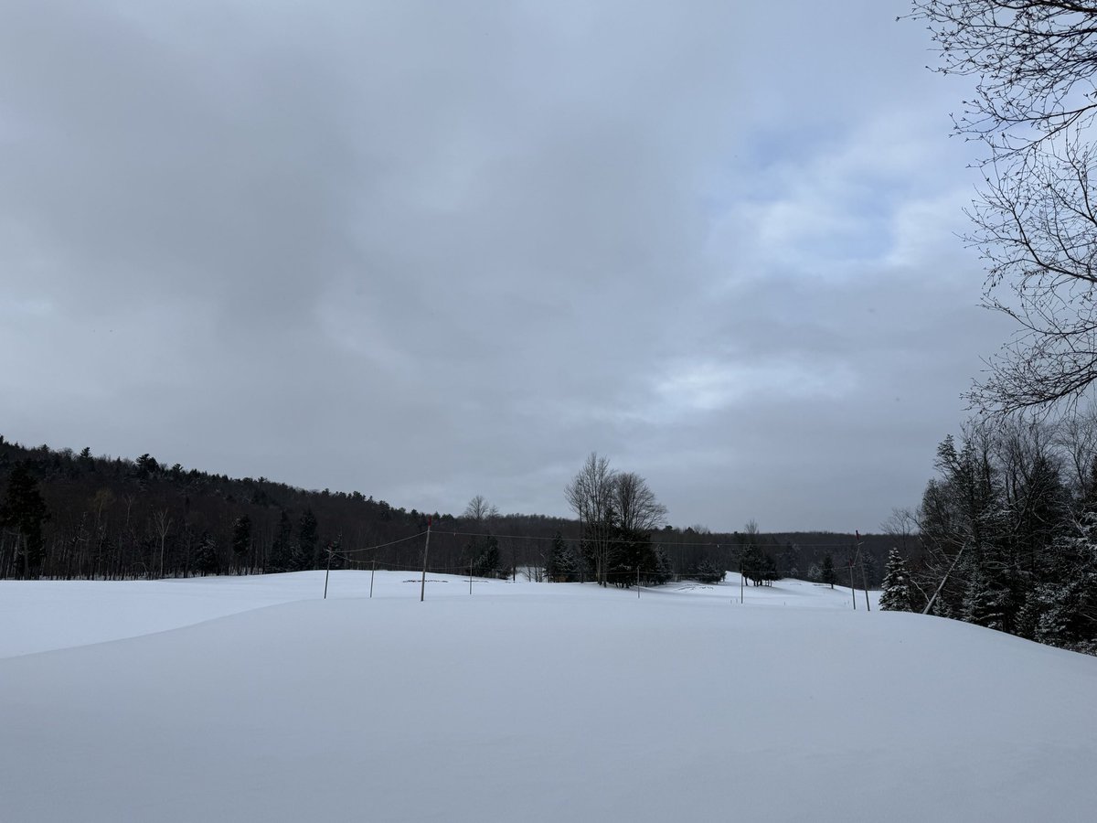 Marquette Golf Club tweet media