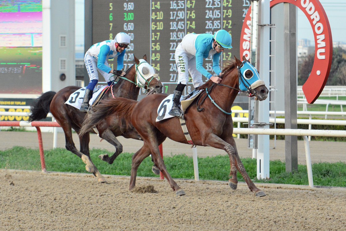 Uludağ Koşusu’nu Kozmos kazandı

tjk.org/TR/YarisSever/…