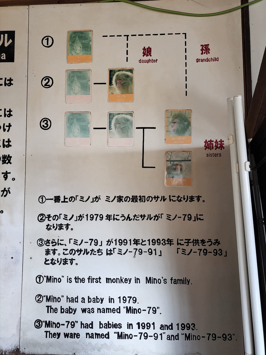 マリナ推し39歳女先生（旧名：マーガリン） on X