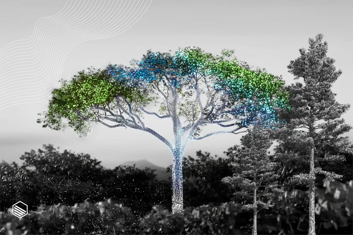 Carbon Direct tweet media