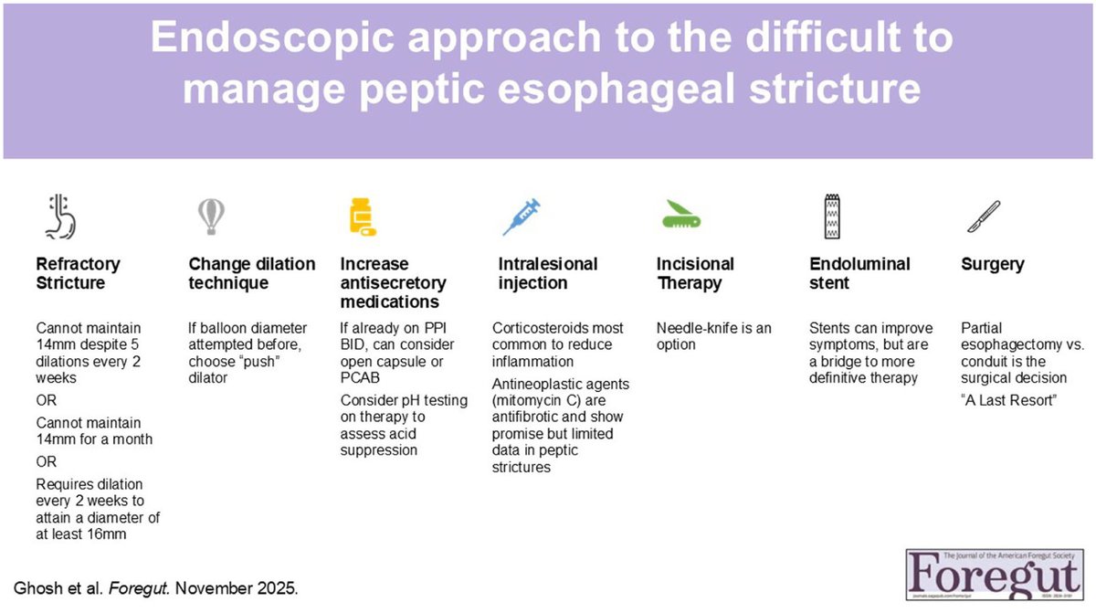 Foregut Journal tweet media
