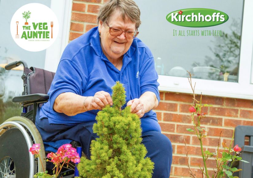 Rolling Inspiration tweet media