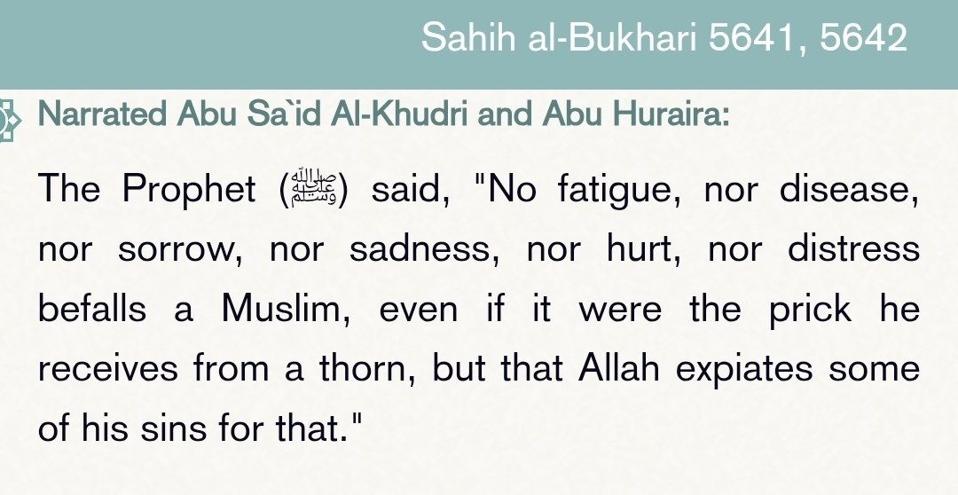 Hussain al-Naijiri (@ojora) on Twitter photo 